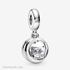 Always by Your Side Owl Dangle Charm CT281